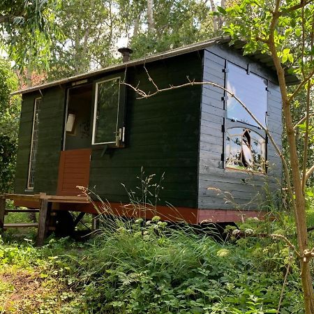 Pipo-Wagen De Veenborgh Veendam Exterior foto